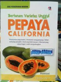 BERTANAM VARIETAS UNGGUL PEPAYA CALIFORNIA