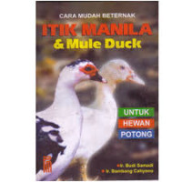 CARA MUDAH BETERNAK ITIK MANILA & MULE DUCK