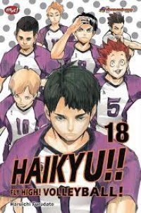 HAIKYU FLY HIGH! VOLLEYBALL! VOL.18